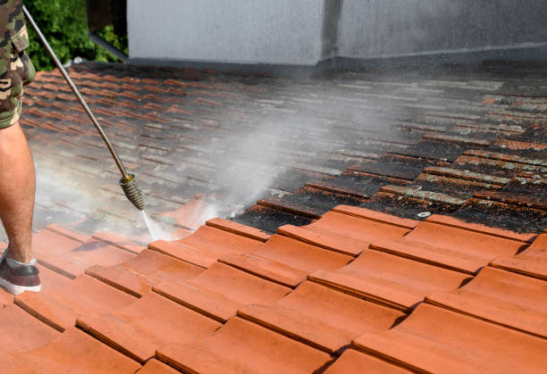 Pressure Washing Services for Businesses in Howard City, MI